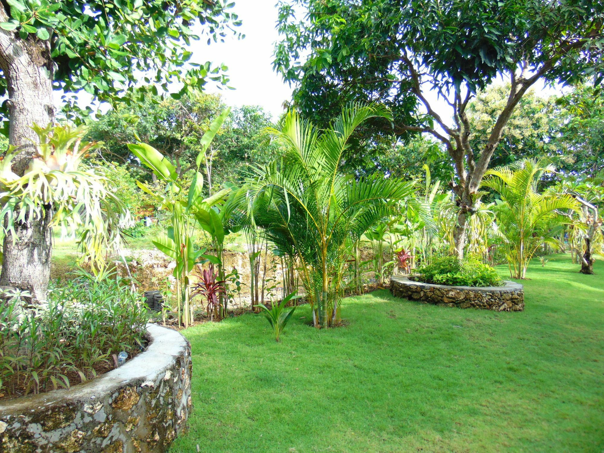Arumanis Homestay Pecatu  Exterior photo